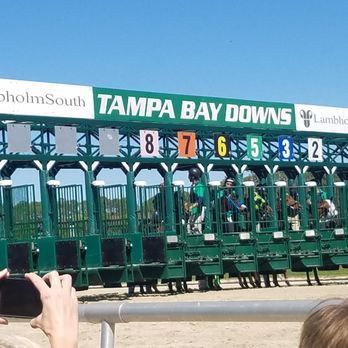 Tampa Bay Downs - Casinos Near Me - Tampa, Florida Tampa Bay Downs - Casinos Near Me - Tampa, Florida