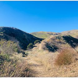 Nature Trail - I chose the Nature trail. This was just the beginning.