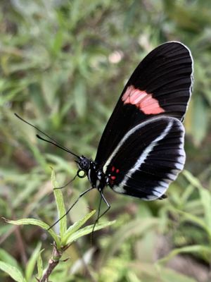 Omaha's Henry Doorly Zoo and Aquarium by null