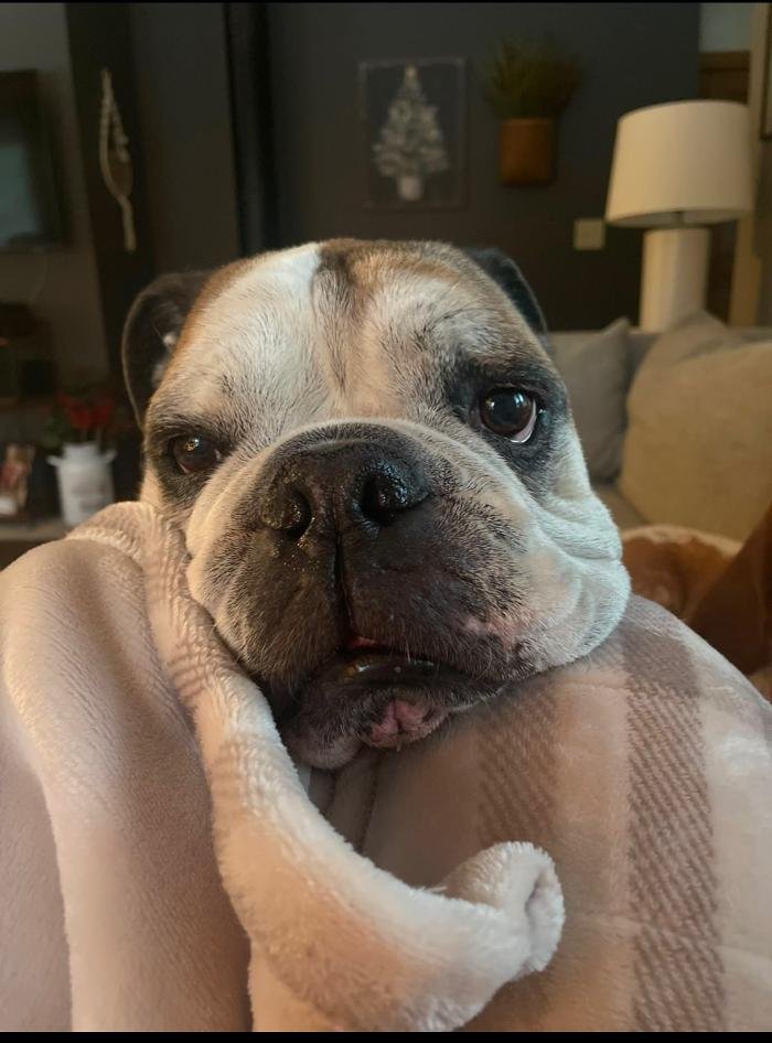 Slide of Maverick Pumping Service