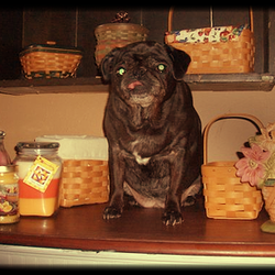 Emma Jean's Relics - Emma Jean's Attic