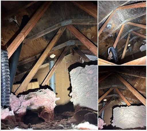 Mold Wizard - mold inspector in Mansfield, OH