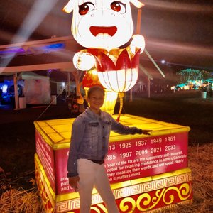 Luminight Lantern Festival on Yelp