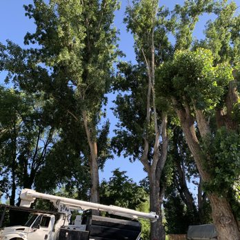 A & J Specialties - Tree Services Near Me A & J Specialties - Tree Services Near Me