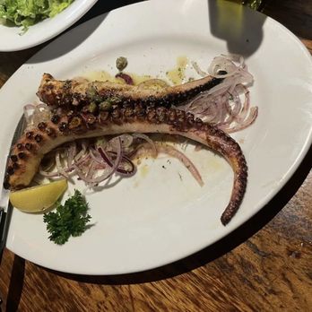Agora Taverna - Grilled octopus app - Greek Near Me - Forest Hills, New York Agora Taverna - Grilled octopus app - Greek Near Me - Forest Hills, New York