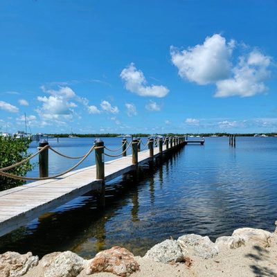 Coconut Palm Inn by null