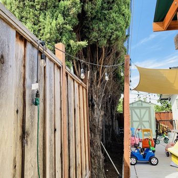 General Tree Service San Jose All information about Service