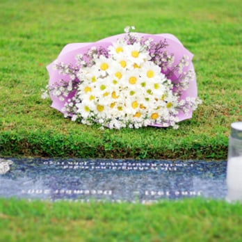 Perpetual Lovescaping - Just Because Package - Funeral Services & Cemeteries Near Me - Pelham, New Hampshire Perpetual Lovescaping - Just Because Package - Funeral Services & Cemeteries Near Me - Pelham, New Hampshire