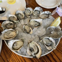 Kumamoto oysters