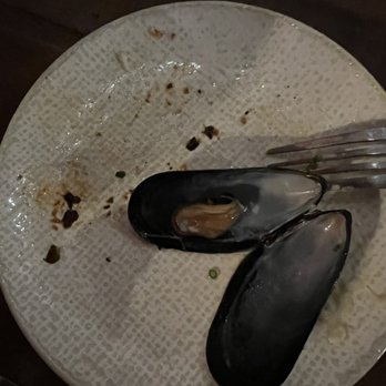 True Chesapeake - The smallest mussels i've ever seen in my life - Seafood Near Me - Baltimore, Maryland True Chesapeake - The smallest mussels i've ever seen in my life - Seafood Near Me - Baltimore, Maryland