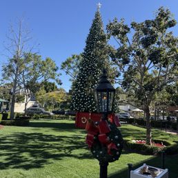 Nearby Christmas tree and wreath Nearby Christmas tree and wreath