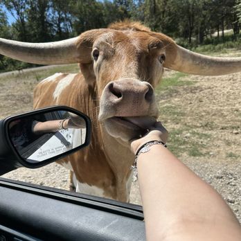 TEXAS ZOOFARI PARK - TEMP. CLOSED - Updated January 2026 - 128 Photos
