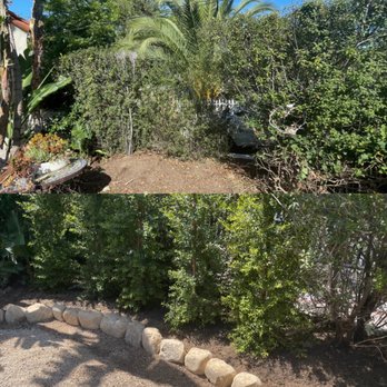 SB Handyman - Landscaping work planting new hedges and creating and rock barrier - Handyman Near Me - Santa Barbara, California