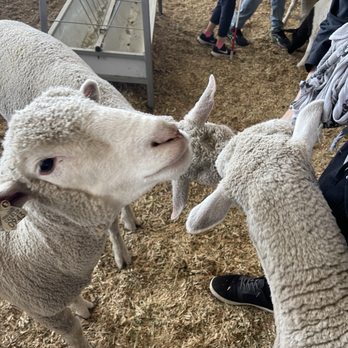 Los Angeles County Fair - Festivals Near Me - Pomona, California