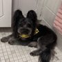 Photo of Laurel Animal Hospital