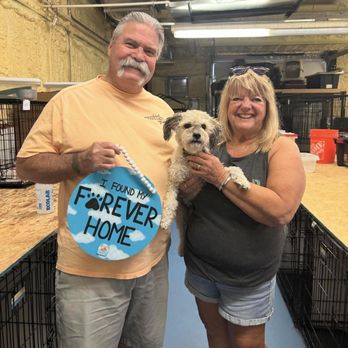 Bill's Mutt House - Another adoption! - Pet Boarding Near Me - Queen Creek, Arizona Bill's Mutt House - Another adoption! - Pet Boarding Near Me - Queen Creek, Arizona