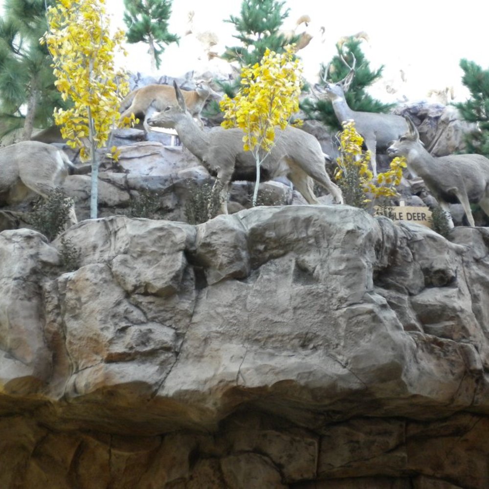 Scheels - Look, deers! - Sports Wear Near Me - Sparks, Nevada Scheels - Look, deers! - Sports Wear Near Me - Sparks, Nevada
