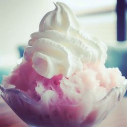 Chilly Panda Premium Shaved Ice