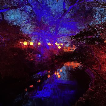 Descanso Gardens - Enchanted: Forest of Light (holiday lights display) - Botanical Gardens Near Me - La Canada Flintridge, California Descanso Gardens - Enchanted: Forest of Light (holiday lights display) - Botanical Gardens Near Me - La Canada Flintridge, California