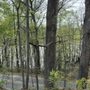 Photo of Yadkin River Park