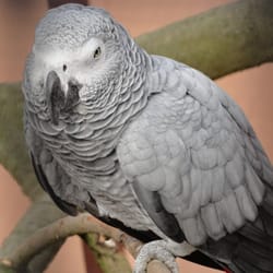 Vogelpark Niendorf