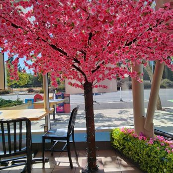Ryokucha Cafe - Ice Cream & Frozen Yogurt Near Me - Palo Alto, California Ryokucha Cafe - Ice Cream & Frozen Yogurt Near Me - Palo Alto, California