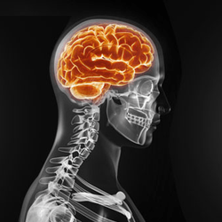 Danville Neurology Associates
