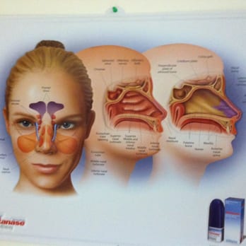 Beach Allergy & Asthma Specialty Group - The Nose & Sinus. - Allergists Near Me - Long Beach, California