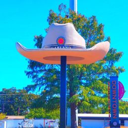 Cowboy hat