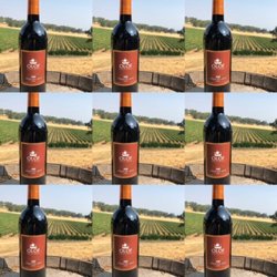 Olof Cellars