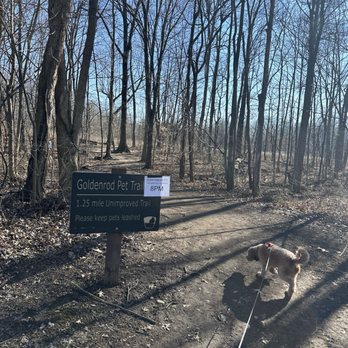 Blendon Woods Metro Park - Parks Near Me - Westerville, Ohio