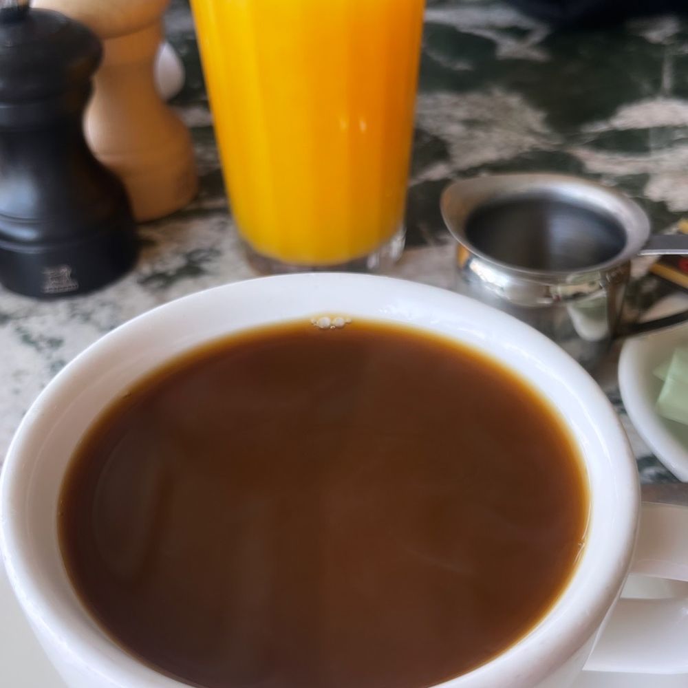 Great White - Hot coffee and fresh squeezed orange juice. - Cafes Near Me - Los Angeles, California Great White - Hot coffee and fresh squeezed orange juice. - Cafes Near Me - Los Angeles, California
