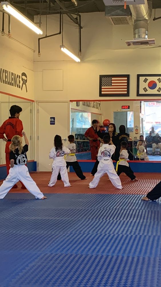 DK Tae Kwon Do Martial Arts Logo