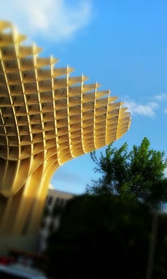 Setas de Sevilla by null