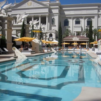 Venus Pool Lounge - Swimming Pools Near Me - Las Vegas, Nevada Venus Pool Lounge - Swimming Pools Near Me - Las Vegas, Nevada
