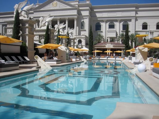 Venus Pool + Lounge by null