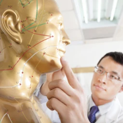 Bergen Acupuncture Integrative Medicine Clinic - Head acupuncture pressure points.