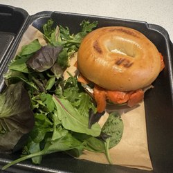 Harvest Coffee + Kitchen - Smoked Salmon Bagel