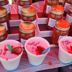 The Crimson Lion - At the Hadley Asparagus Festival 6/1/24