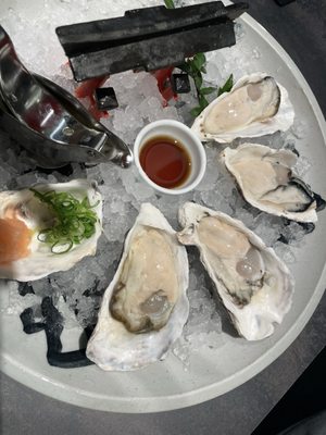Yakigaki No Hayashi by null