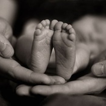 Life Harmony Wellness - Specializing in Fertility - Acupuncture Near Me Life Harmony Wellness - Specializing in Fertility - Acupuncture Near Me