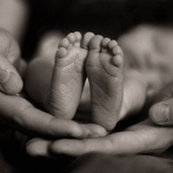 Life Harmony Wellness - Specializing in Fertility