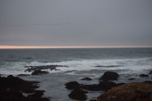 Glass Beach by null