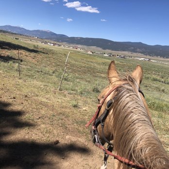 Roadrunner Tours - Tours Near Me - Angel Fire, New Mexico