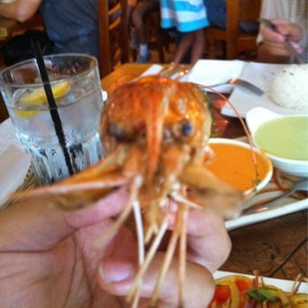 El Rocoto - Get in my Belly! - Peruvian Near Me - Cerritos, California El Rocoto - Get in my Belly! - Peruvian Near Me - Cerritos, California