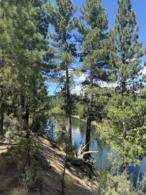 LaPine State Park by null