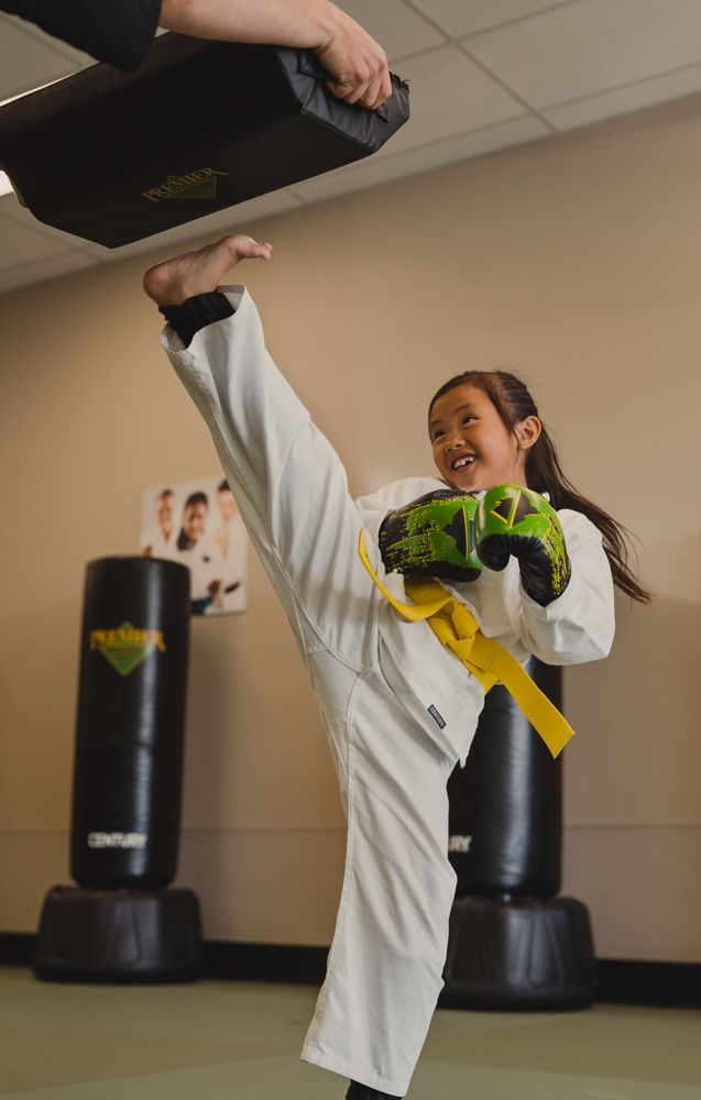Premier Martial Arts Logo