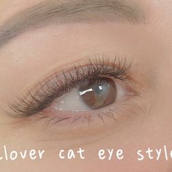 Lashes Lounge