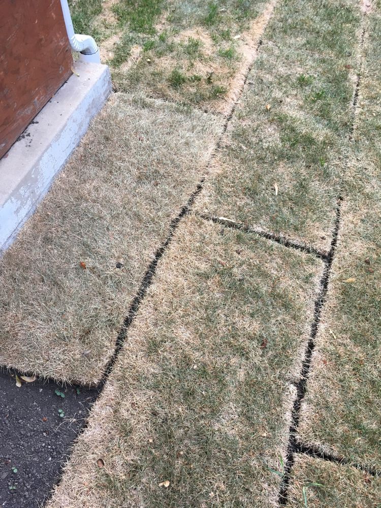 MARTYS LANDSCAPING Updated July 2024 1450 Forest Ave, Des Plaines