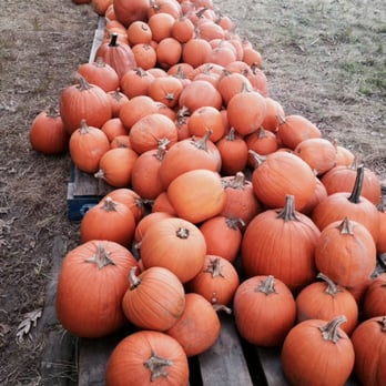 Back Acre Farm - Pick Your Own Farms Near Me - Middleboro, Massachusetts